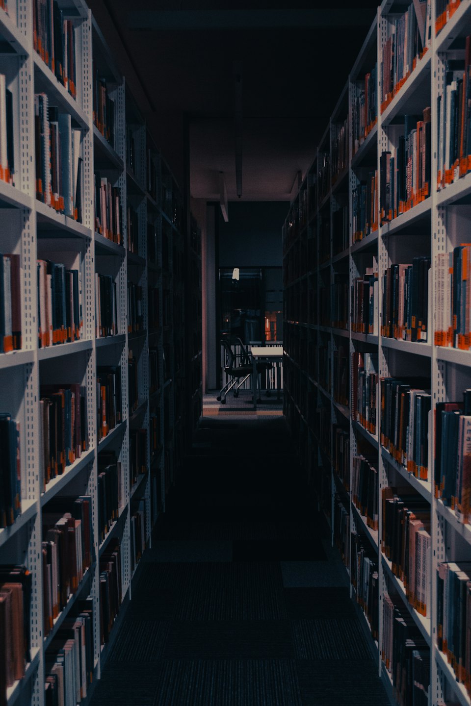 Tall bookshelves line a narrow corridor leading to a study area.